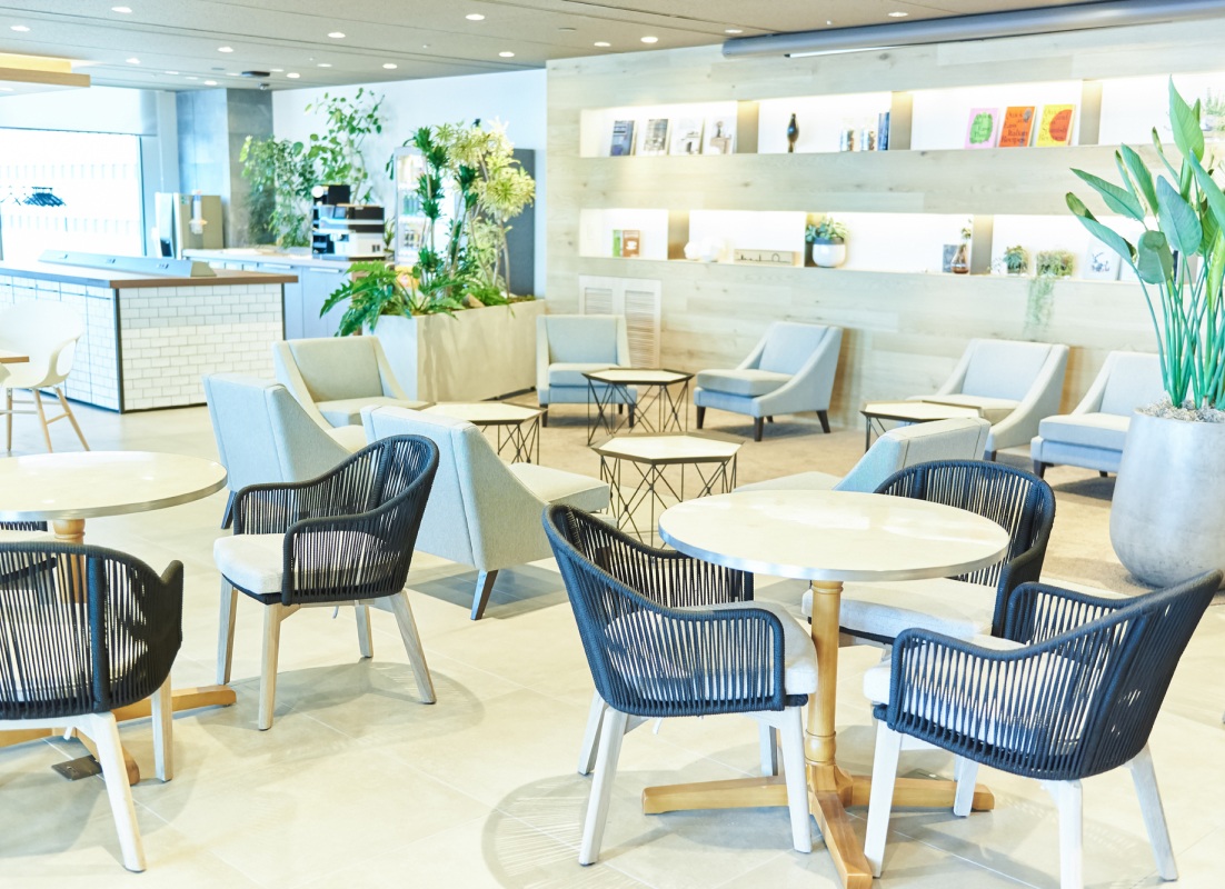 綺麗な内装のお店